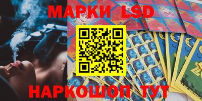 дмт Аргун