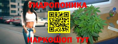 ГАЛЛЮЦИНОГЕННЫЕ ГРИБЫ Донской
