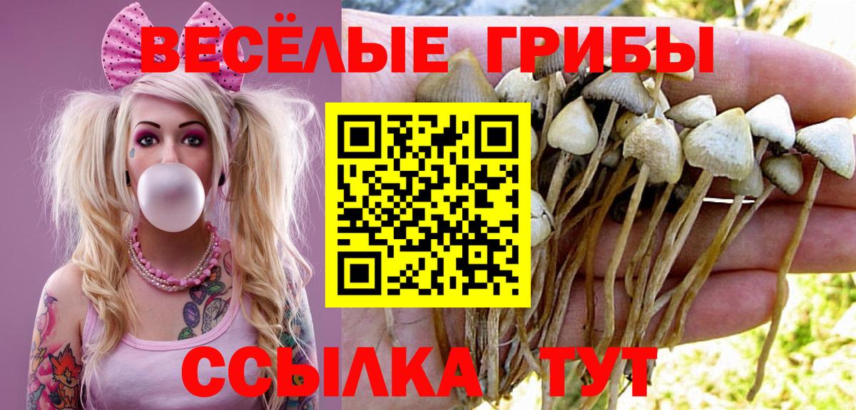 Псилоцибиновые грибы Magic Shrooms Воронеж
