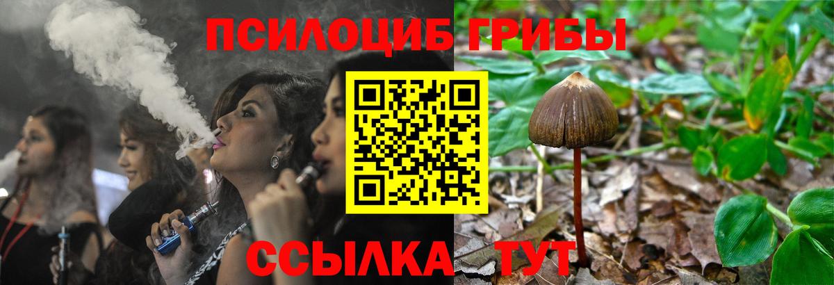 Воронеж  Псилоцибиновые грибы мухоморы  цены наркотик  Вход с VPN 